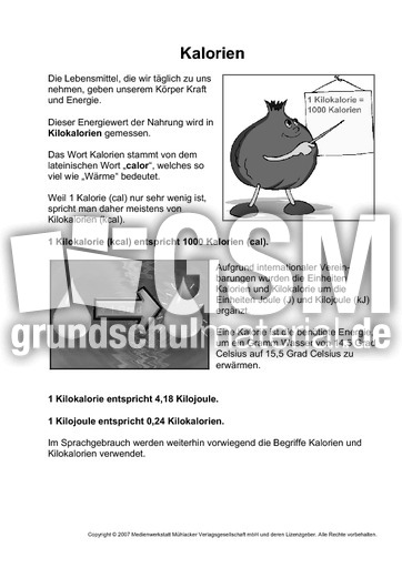Kalorien-SW.pdf